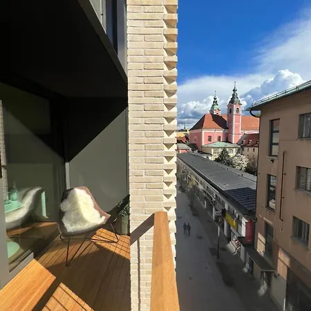 Castle View Luxury 公寓 卢布尔雅那